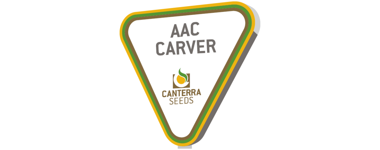 AAC Carver 