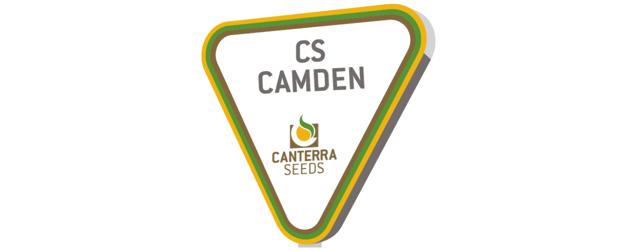 CS Camden