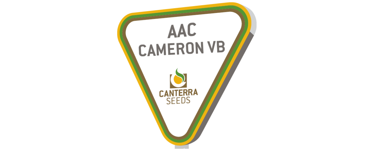 AAC Cameron VB 