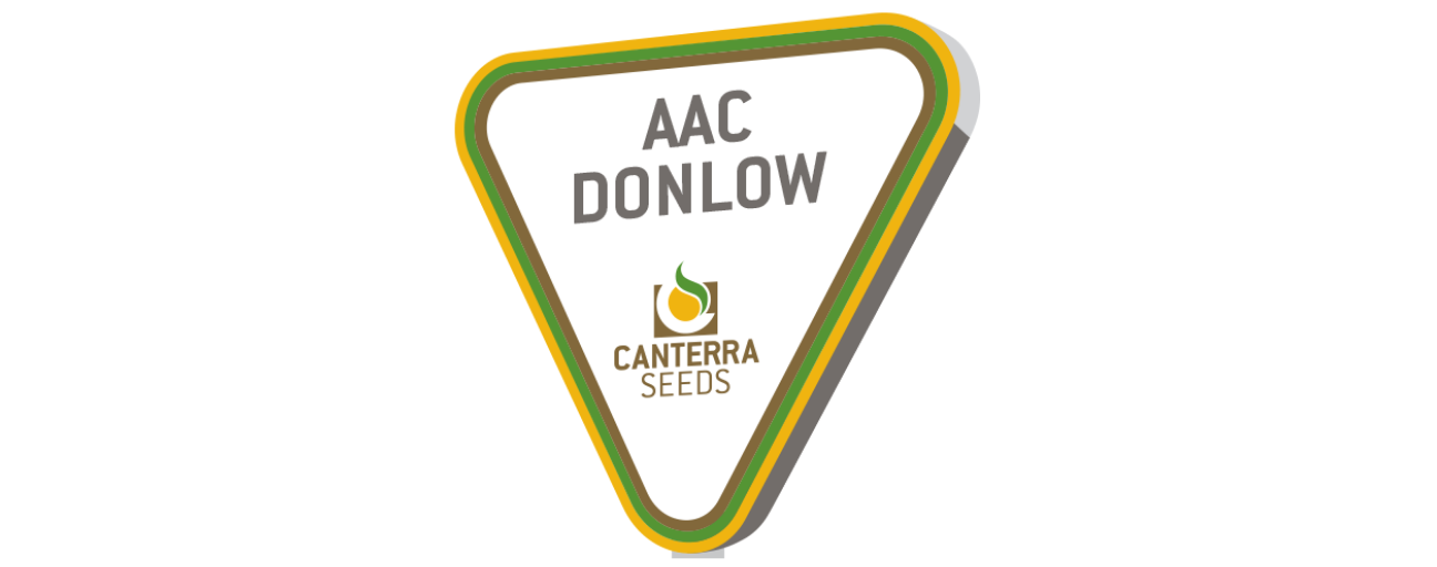 AAC Donlow 