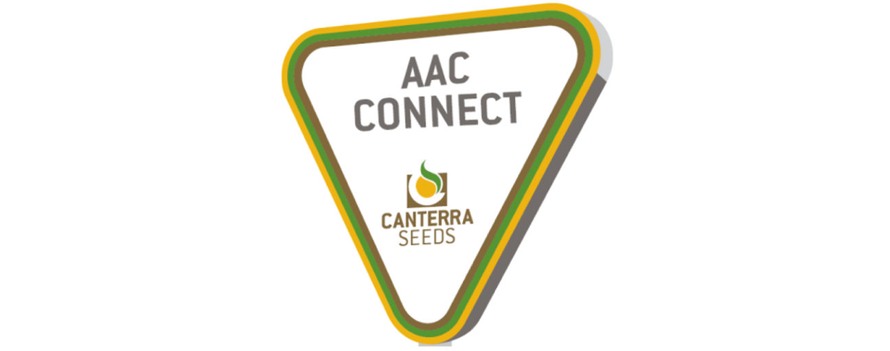 AAC Connect 